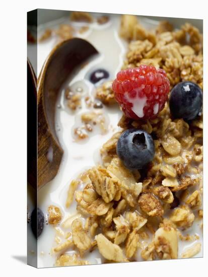 Crunchy Muesli with Berries and Milk-null-Premier Image Canvas