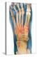 Crushed Broken Foot, X-ray-Science Photo Library-Premier Image Canvas