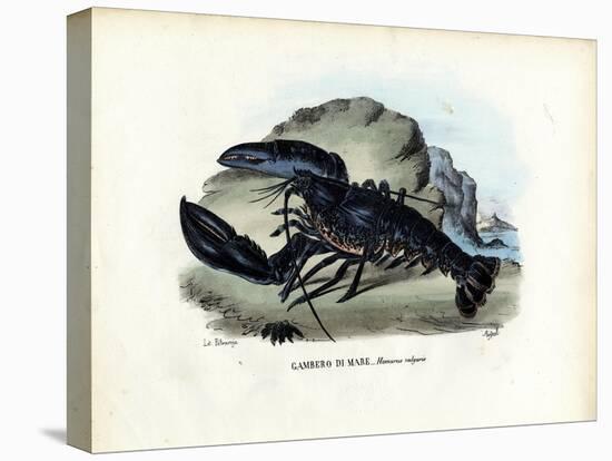 Crustaceans, 1863-79-Raimundo Petraroja-Premier Image Canvas