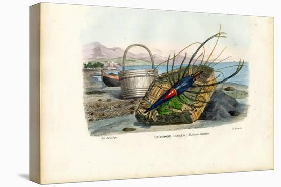 Crustaceans, 1863-79-Raimundo Petraroja-Premier Image Canvas