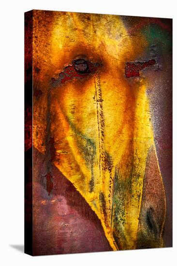 Crying Horse-Ursula Abresch-Premier Image Canvas