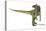 Cryolophosaurus Dinosaur, Artwork-null-Premier Image Canvas