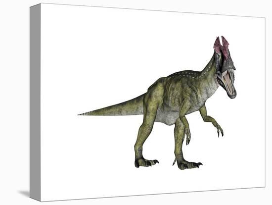 Cryolophosaurus Dinosaur-Stocktrek Images-Stretched Canvas