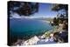 Crystal Bay View, Lake Tahoe, Nevada-George Oze-Premier Image Canvas