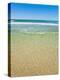 Crystal Clear Blue Sea at Surfers Paradise, Gold Coast, Queensland, Australia, Pacific-Matthew Williams-Ellis-Premier Image Canvas