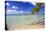 Crystal Clear Caribbean Waters Cayman Islands-George Oze-Premier Image Canvas