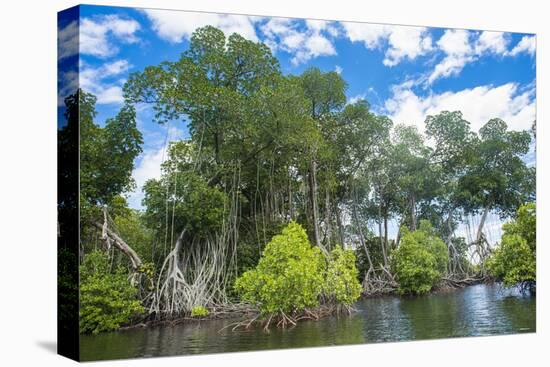 Crystal clear water in the Utwe lagoon, UNESCO Biosphere Reserve, Kosrae, Federated States of Micro-Michael Runkel-Premier Image Canvas