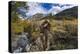 Crystal Mill Near Marble, Colorado, Usa-Chuck Haney-Premier Image Canvas