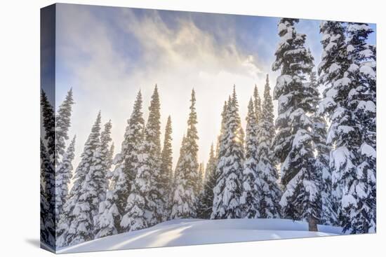 Crystal Mountain Ski Resort, Near Mt. Rainier, Wa, USA-Stuart Westmorland-Premier Image Canvas