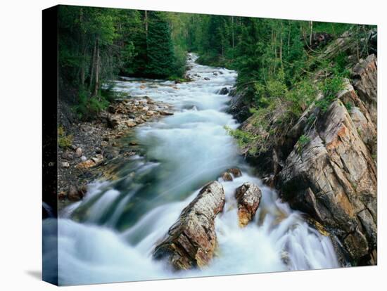 Crystal River, Gunnison National Forest, Colorado, USA-Adam Jones-Premier Image Canvas
