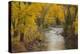 Crystal River, White River National Forest Colorado, USA-Charles Gurche-Premier Image Canvas