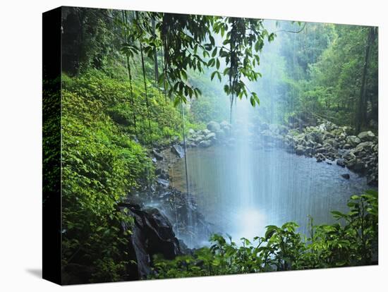 Crystal Shower Falls, Dorrigo National Park, New South Wales, Australia, Pacific-Jochen Schlenker-Premier Image Canvas