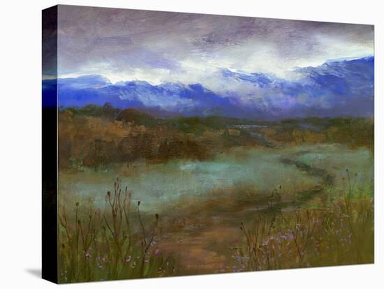 Crystal Springs Path at Dusk-Sheila Finch-Stretched Canvas