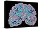 CT Scan of Brain-PASIEKA-Premier Image Canvas