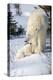 Cub Looking Up to Mother-Howard Ruby-Premier Image Canvas