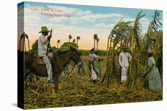 Cuba: Corte de Cana. Cutting Sugar Cane, c1910-Unknown-Premier Image Canvas