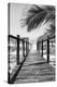 Cuba Fuerte Collection B&W - Wooden Pier on Tropical Beach IX-Philippe Hugonnard-Premier Image Canvas