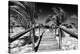 Cuba Fuerte Collection B&W - Wooden Pier on Tropical Beach VI-Philippe Hugonnard-Premier Image Canvas