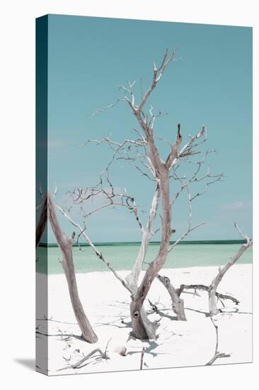 Cuba Fuerte Collection - Coral Green Stillness II-Philippe Hugonnard-Premier Image Canvas
