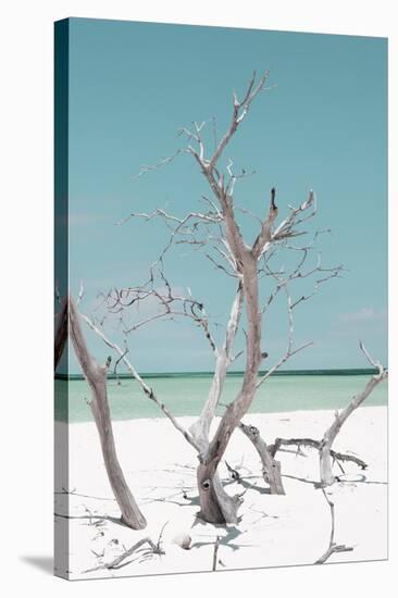 Cuba Fuerte Collection - Coral Green Stillness II-Philippe Hugonnard-Stretched Canvas