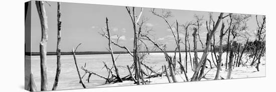 Cuba Fuerte Collection Panoramic BW - Tropical Wild Beach-Philippe Hugonnard-Premier Image Canvas