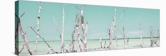 Cuba Fuerte Collection Panoramic - Ocean Wild Nature - Pastel Coral Green-Philippe Hugonnard-Stretched Canvas