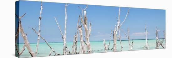 Cuba Fuerte Collection Panoramic - Ocean Wild Nature-Philippe Hugonnard-Stretched Canvas