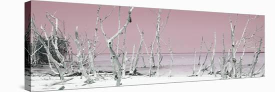 Cuba Fuerte Collection Panoramic - Wild Beach - Pastel Red-Philippe Hugonnard-Premier Image Canvas