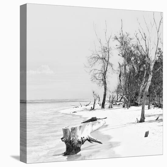 Cuba Fuerte Collection SQ BW - White Sand Beach-Philippe Hugonnard-Stretched Canvas