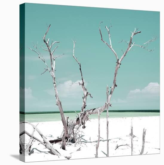 Cuba Fuerte Collection SQ - Coral Green Serenity-Philippe Hugonnard-Premier Image Canvas