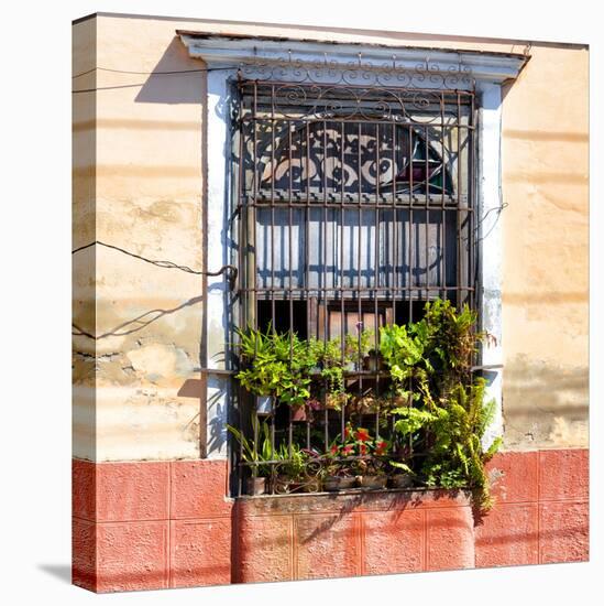 Cuba Fuerte Collection SQ - Cuban Window-Philippe Hugonnard-Stretched Canvas
