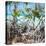 Cuba Fuerte Collection SQ - Mangroves-Philippe Hugonnard-Stretched Canvas