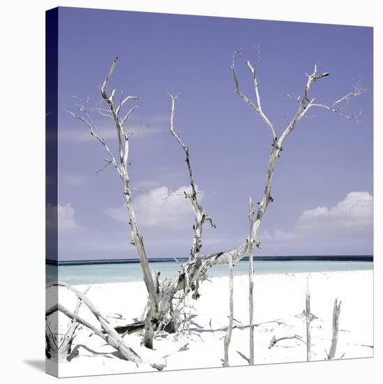 Cuba Fuerte Collection SQ - Purple Serenity-Philippe Hugonnard-Premier Image Canvas