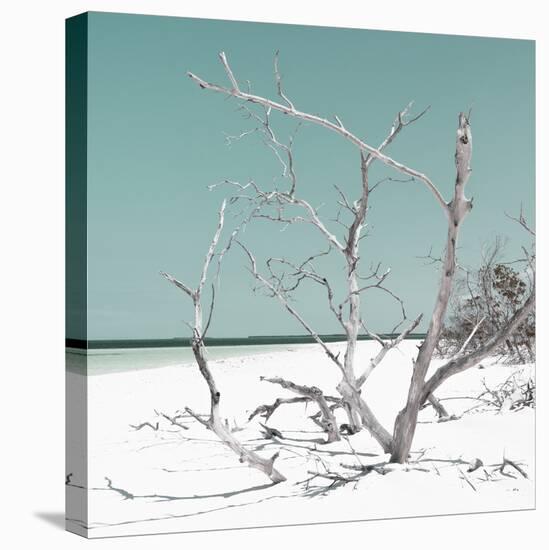 Cuba Fuerte Collection SQ - Tropical Beach Nature - Pastel Coral Green-Philippe Hugonnard-Premier Image Canvas