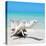 Cuba Fuerte Collection SQ - Wooden Turtle on the Beach-Philippe Hugonnard-Stretched Canvas