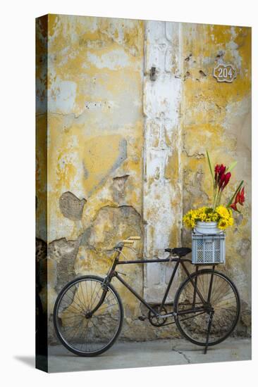 Cuba, Havana. Bicycle with Flowers Leaning Against a Decaying Wall-Brenda Tharp-Premier Image Canvas