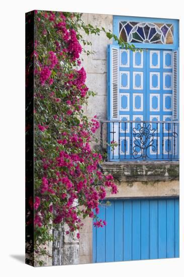 Cuba, Havana. Bougainvillea blooms in Old Town.-Brenda Tharp-Premier Image Canvas