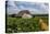 Cuba. Pinar Del Rio. Vinales. Barn Surrounded by Tobacco Fields-Inger Hogstrom-Premier Image Canvas