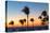 Cuba, Varadero, Palm Trees on Varadero Beach at Sunset-Jane Sweeney-Premier Image Canvas