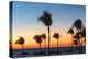 Cuba, Varadero, Palm Trees on Varadero Beach at Sunset-Jane Sweeney-Premier Image Canvas