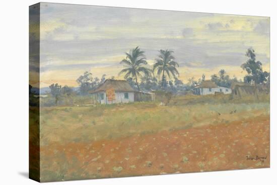 Cuban Landscape, 2010-Julian Barrow-Premier Image Canvas