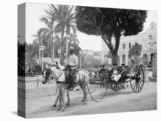 Cuban Volanta or Large Wheeled Carriage Transports Tourists-null-Stretched Canvas