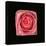 Cubic Pink Rose-Winfred Evers-Premier Image Canvas