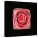 Cubic Pink Rose-Winfred Evers-Premier Image Canvas