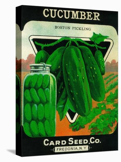 Cucumber Seed Packet-Lantern Press-Stretched Canvas