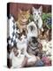 Cuddly Kittens-Jenny Newland-Premier Image Canvas