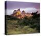 Cuernes del Paine Torres-null-Stretched Canvas