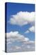 Cumulus Clouds, Blue Sky, Summer, Germany, Europe-Markus-Premier Image Canvas