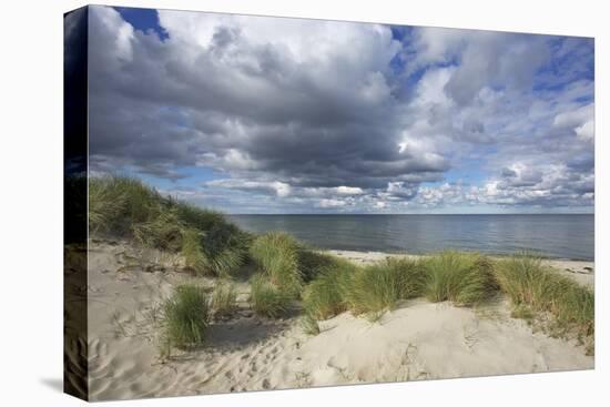 Cumulus Clouds over the Dunes of the Western Beach of Darss Peninsula-Uwe Steffens-Premier Image Canvas
