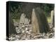 Cup and Ring Mark on the North Stone in the Stone Circle at Temple Wood Dating from Before 3000 Bc-Pearl Bucknall-Premier Image Canvas